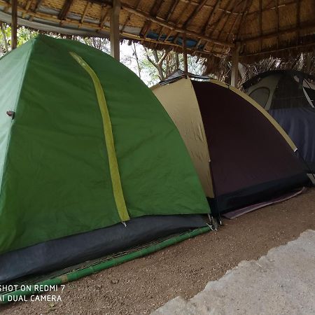 Drunken Monkey Camping Site Hotell Hampi Eksteriør bilde