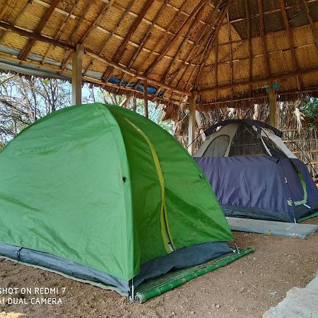 Drunken Monkey Camping Site Hotell Hampi Eksteriør bilde