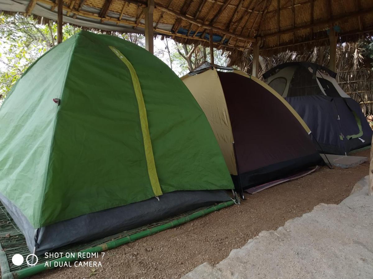 Drunken Monkey Camping Site Hotell Hampi Eksteriør bilde