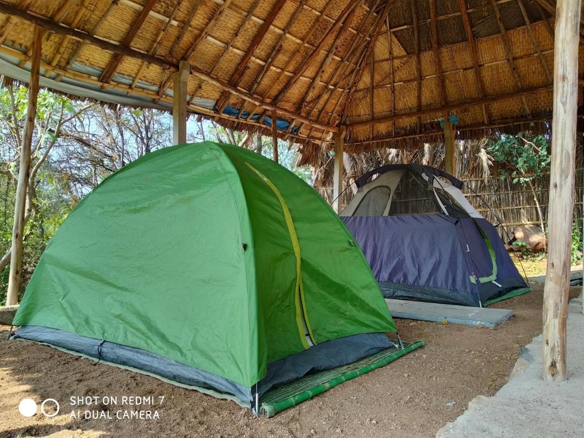 Drunken Monkey Camping Site Hotell Hampi Eksteriør bilde