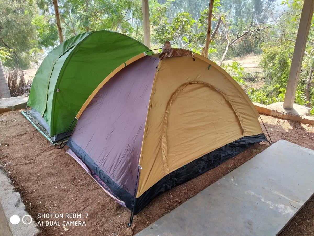 Drunken Monkey Camping Site Hotell Hampi Eksteriør bilde
