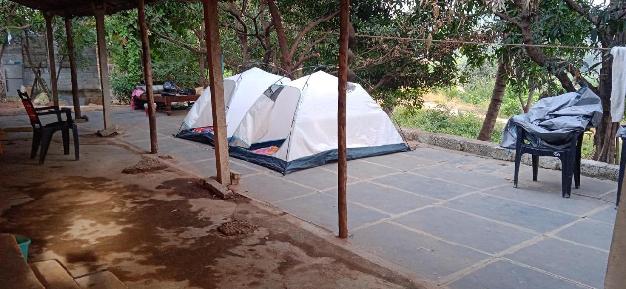Drunken Monkey Camping Site Hotell Hampi Eksteriør bilde